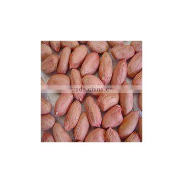 crop new natural red skin peanut kernel natural type 40-50