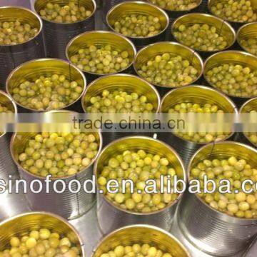 Strict QC Team Caned Green Peas in Tins