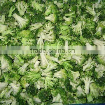 Frozen Broccoli With Best Price, Frozen Vegetable photo-3