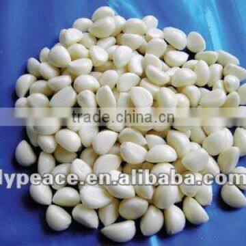 2012 fresh material for export garlic products