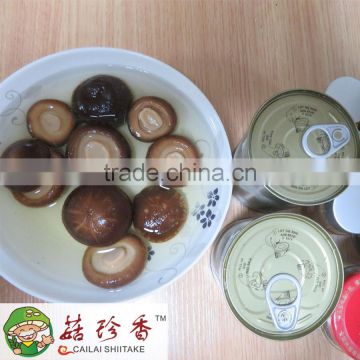 Marinated black oak mushroom factory wholesale