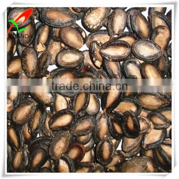 Top Black Watermelon Seeds wholesale