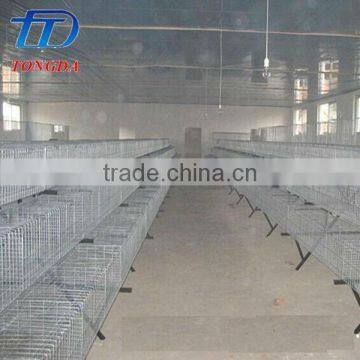 New Design Bird Trap Cage With Great Price