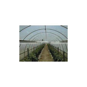 low price solar greenhouse plants