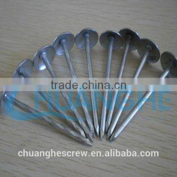 Aluminum Material Roofing Nails photo-4