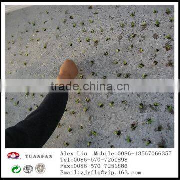 China Agricultural PP Non-woven Fabric photo-6