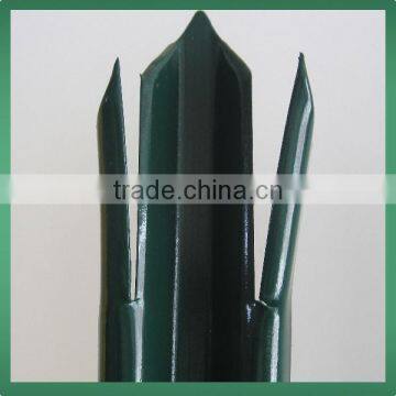 China Supplier!! Green Color Steel Plastic Fence With 2.4M
