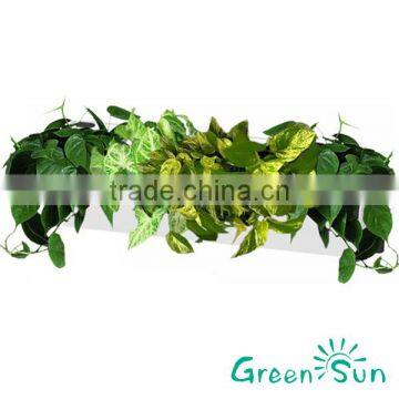 green wall garden decoration self watering system