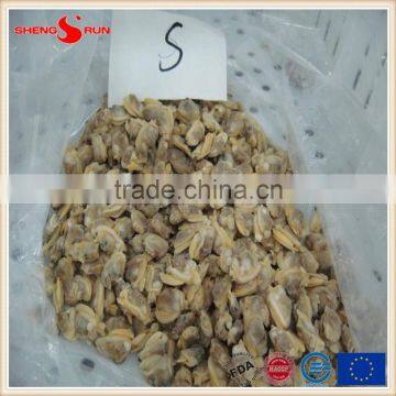 IQF Cooked Baby Clam Meat Frozen photo-6