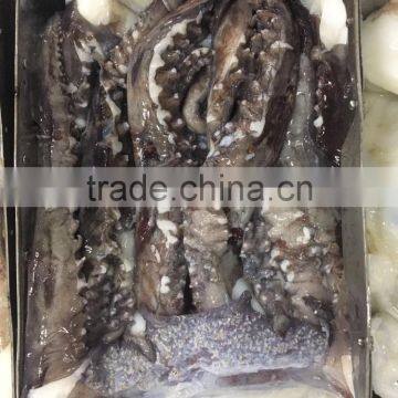 For BBQ 2-4 Kgs Frozen Giant Squid Tentacles photo-4