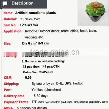 Tropical Mini Succulent Plants Bonsai for Sale Artificial Succulents photo-2