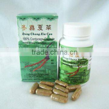 Chinese herbal Cordyceps capsule, (100%cordyceps sinensis) 75capsules/box