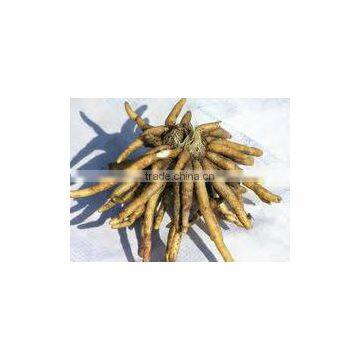 Chlorophytum Borivilianum Extract photo-2