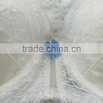 New Design Sexy Ladies Transparent White Embroidered Bra and Panty Set photo-4
