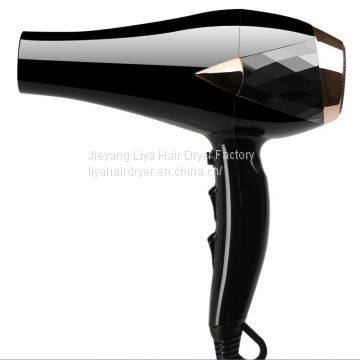 Competitive Price Professional Salon Use Hair Dryer with AC motor