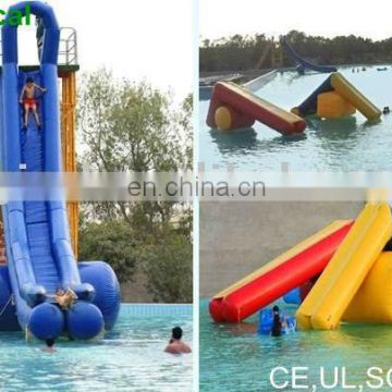 Giant inflatable water slide/straight inflatable slide