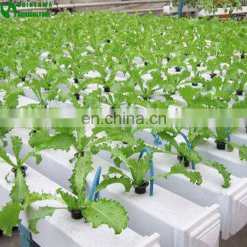 Agricultural Greenhouse Hydroponic Channels Set Hydroponic Growing Systems photo-3