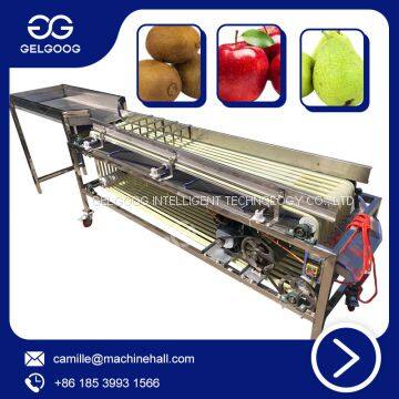 High Efficiency Automatic Weight Sorting Machine Kiwi Size Sorting Machine