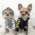 2021 New Design Custom Logo Supplies Apparel Luxury Design Winter Pet Dog Clothes photo-2