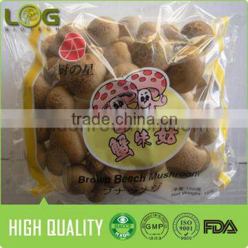 Fresh brown beech mushroom(hot sale)