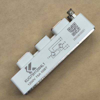 Copper Plate IGBT Module Heat Dissipation Durability In Industrial Standard Package