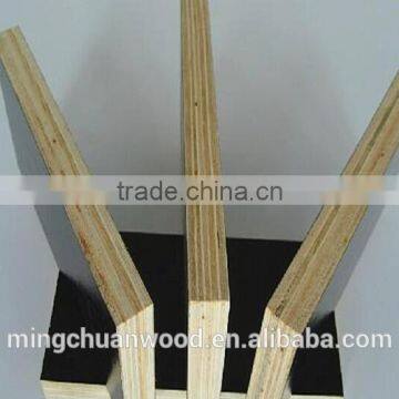 Linyi Film Faced Plywood Construction Plywood photo-4