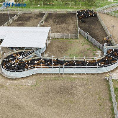 Panneaux de corral pour chevaux en fer galvanisé à chaud, clôtures de sécurité pour bétail en bois traité sous pression, résistant aux rongeurs, fini par pulvérisation de poudre, 6 pieds