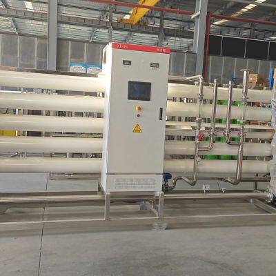 15T/H Secondary RO Pure Water System Reverse Osmosis Purification Equipment.