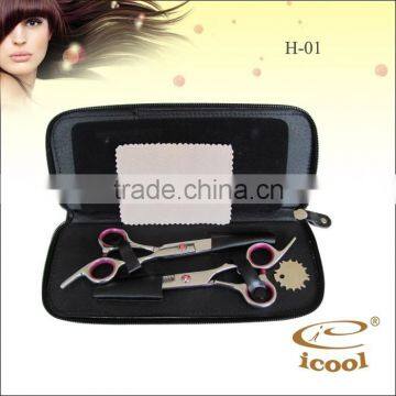 ICOOL H-01 6.0 inch cutting and thinning scissors Professional Hair Scissors set