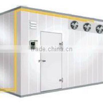 High quality mini cold storage equipment for onion                        
                                                Quality Choice