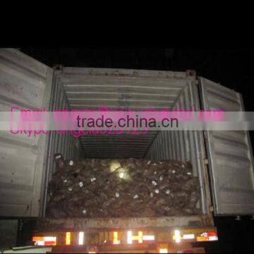 Building Material Iron Rod/ Twisted Soft Annealed Black Iron Galvanized Binding Wire photo-4