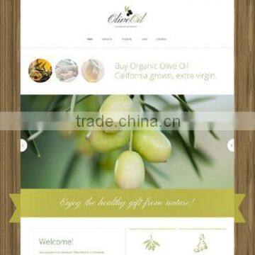 Web Designing Firms photo-6