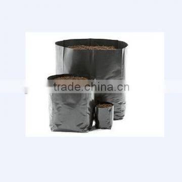 Cheap Black Plastic planter bags manufacturer