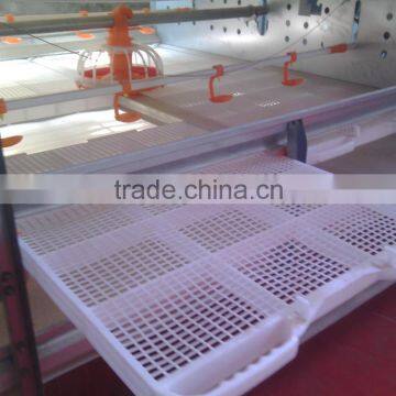 Broiler Farm for Broiler Feed Rearing photo-6