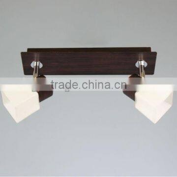 2 heads flexible simple G9 glass chandelier lighting &ceiling lamp XD8681-2C