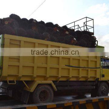 Professional Palm Oil Fractionation Line From Zhengzhou photo-4