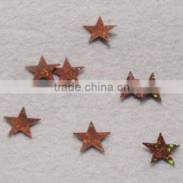 Star confetti with hole / table confetti / wedding confetti / sequin