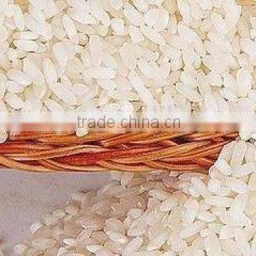 Hot Sale DXY Nutritional Rice Processing Making Line photo-6