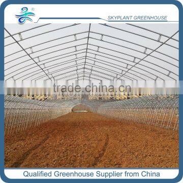 Cheap Low Cost PE Film Single Span Greenhouses photo-4
