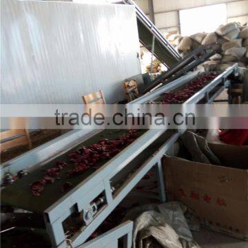 Best Quality the New Machine for Pepper to Clean the Nail photo-3