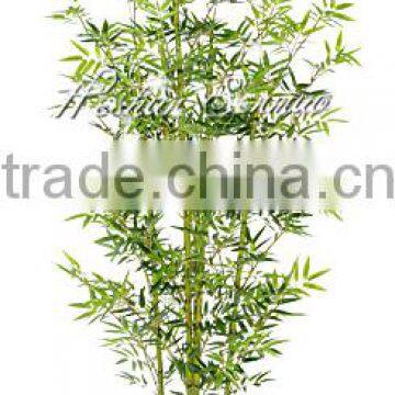 Cheap simulation bamboo for sale