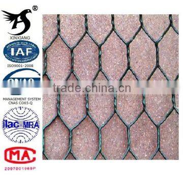 Competitive Hexagonal Wire Netting