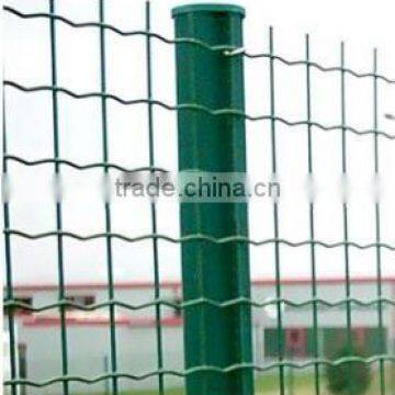the Cheap Price Fence for Protective Tree Guard (15 Years Factory)