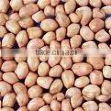 Peanut kernels