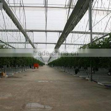 Red Color Fresh Tomato From Turkey photo-5