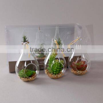 Flora Bunda Artificial Pure Succulent Plant in Water-drop Shaped Glass