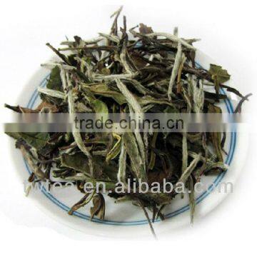 China famous white tea (white peony)