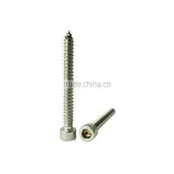 Stainless Steel Self Tapping Screw