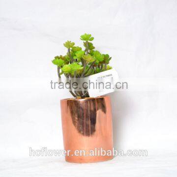 Lovely artificial succulent greeny for home decoration