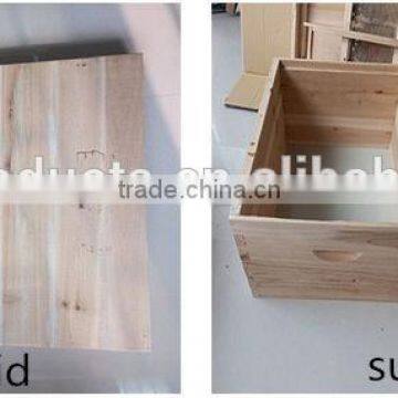 Apis Cerana Beehive photo-6